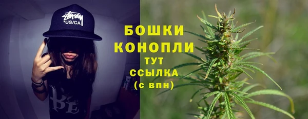 стаф Аркадак