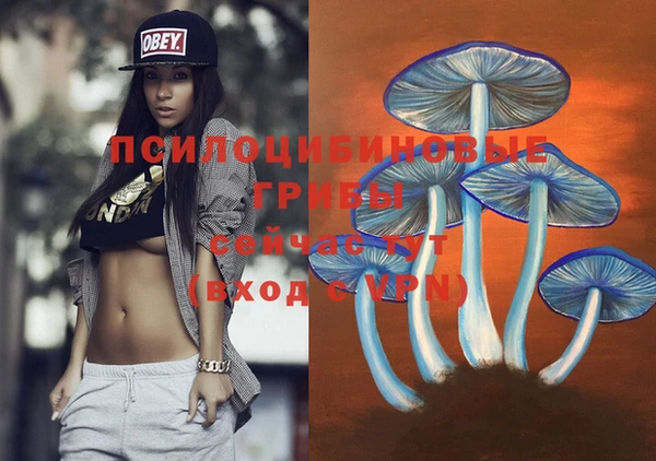ПСИЛОЦИБИНОВЫЕ ГРИБЫ Арсеньев
