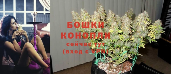 ПСИЛОЦИБИНОВЫЕ ГРИБЫ Арсеньев