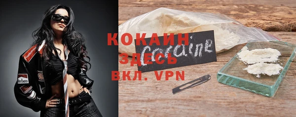 стаф Аркадак