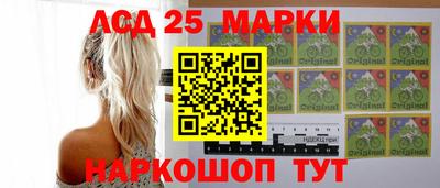 тгк Бердск