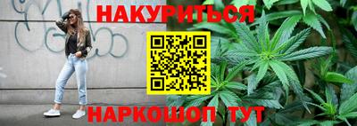 тгк Бердск