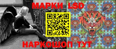 тгк Бердск