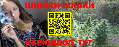 тгк Бердск