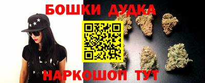 тгк Бердск